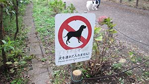 クリックして拡大